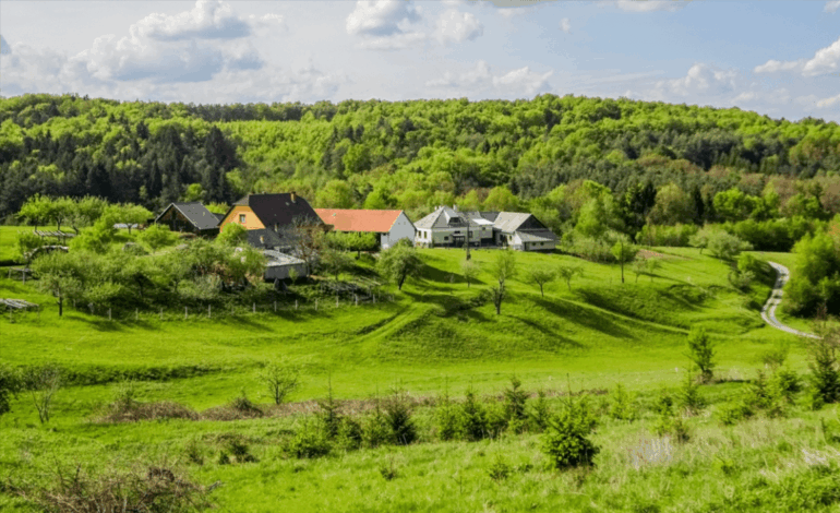 Exploring the Hungarian Countryside in the Őrség National Park